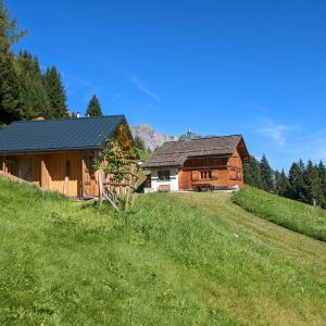 PXL_20220824_082010565