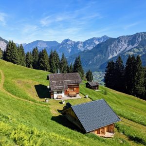 original_03908b61-1a67-42aa-a636-7a5ea0f2b1fc_PXL_20220824_082633802