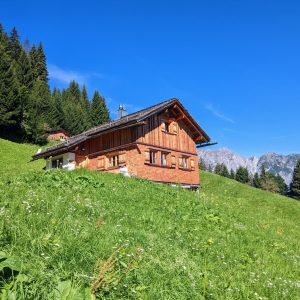 original_70af9a23-b33e-440a-a5a5-a1a7ea15e38d_PXL_20220824_082105327