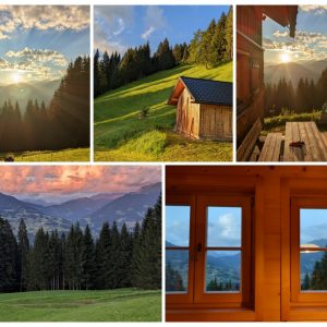 photocollage_2022822701913